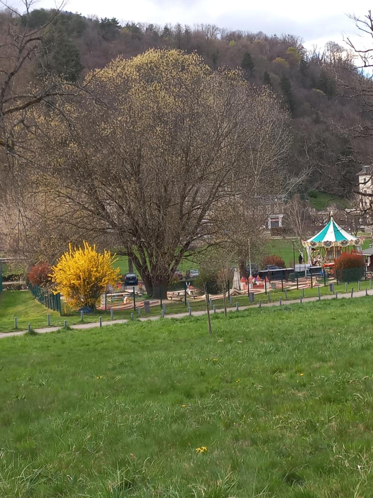 Residence Du Parc Saint-Martin-dʼUriage Dış mekan fotoğraf